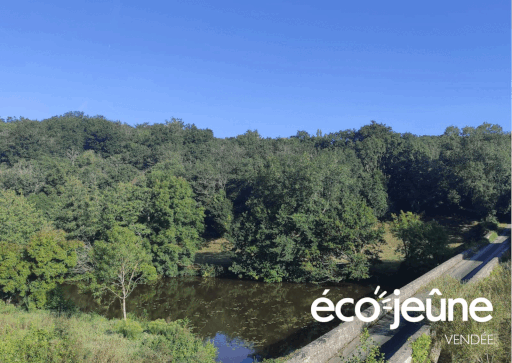 Stage de jeûne en Vendée de 4 ou 6 jours. Hébergement, Accompagnement, Détox, Marche, Hypnose, Sophrologie, Ateliers de Bien-être, Massages