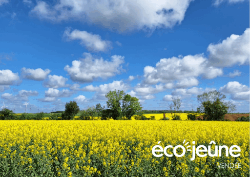 Stage de jeûne en Vendée de 4 ou 6 jours. Hébergement, Accompagnement, Détox, Marche, Hypnose, Sophrologie, Ateliers de Bien-être, Massages